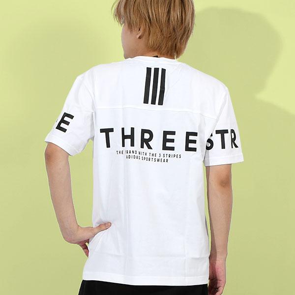 2025春夏モデル　新品 Tシャツ M 半袖Tシャツ・2025春夏！スペシャルカラー！！ | ホンクンのネコ