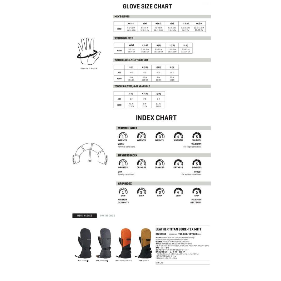 DAKINE（ダカイン） スノーグローブ メンズ LEATHER TITAN GORE-TEX