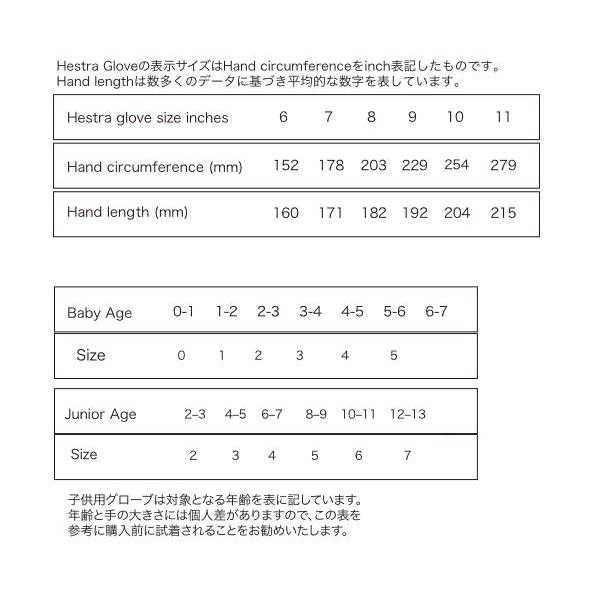 HESTRA（ヘストラ） ミトン Mist Mitt ミスト ミット MITTEN メンズ