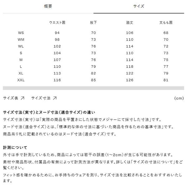 ノースフェイス レディース 高機能 GORE-TEX スノーボード ウェア THE NORTH FACE レイバック ビブパンツ ワイドシルエット ブラック ns62511 2025-2026冬新作の画像