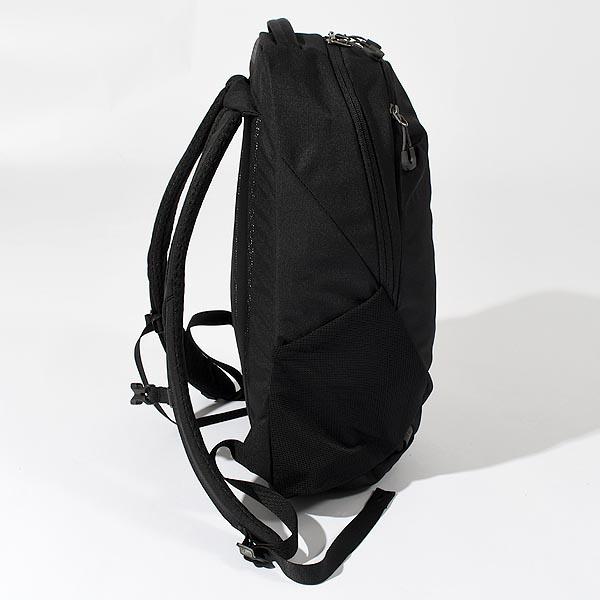 GREGORY（グレゴリー） バックパック メンズ レディース RHUNE 18L