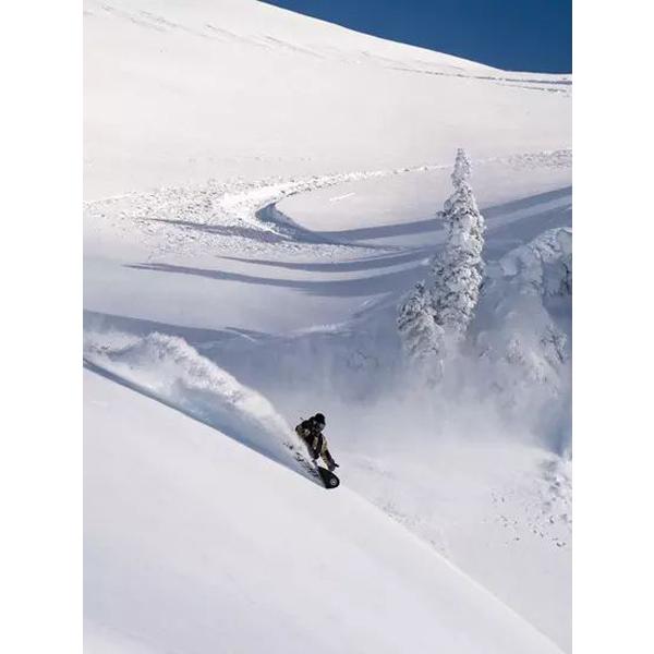 RIDE 45%off ライド PEACE SEEKER ピースシーカー スノーボード