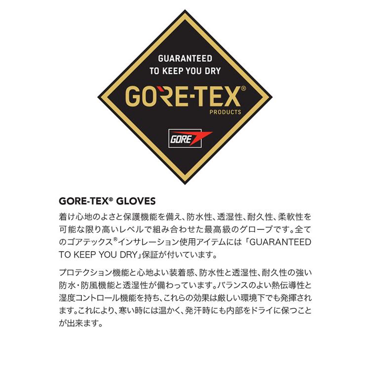 DAKINE（ダカイン） グローブ メンズ SATURN GLOVE ミトン ゴアテック