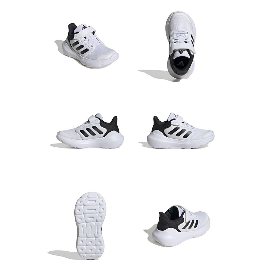 春 2ストライブディオ ZX