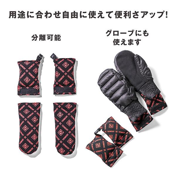 DEELUXE（ディーラックス） スノーボード 乾燥剤 抗菌 消臭 THERMO DRY