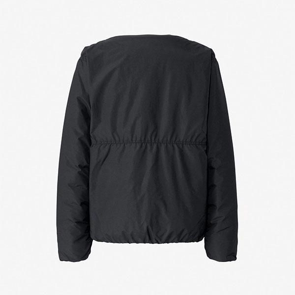 THE NORTH FACE ノースフェイス ゴアテックス ダウンジャケット メンズ