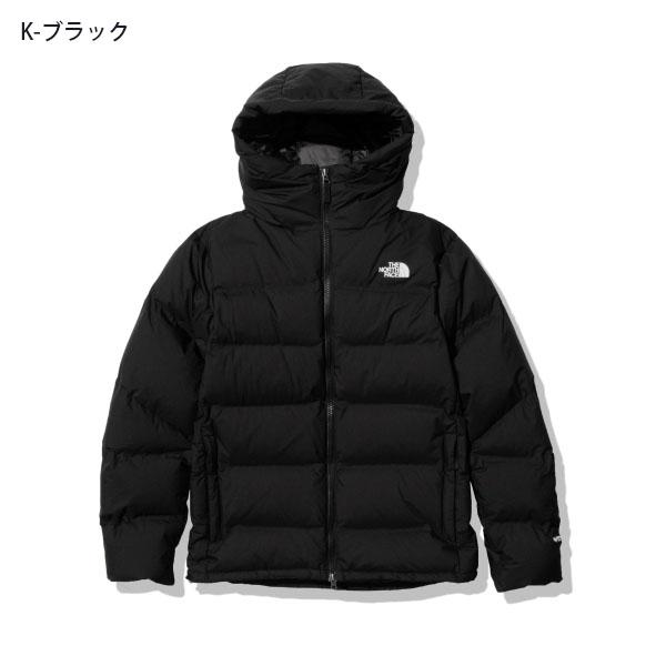THE NORTH FACE ノースフェイス ゴアテックス ダウン ジャケット