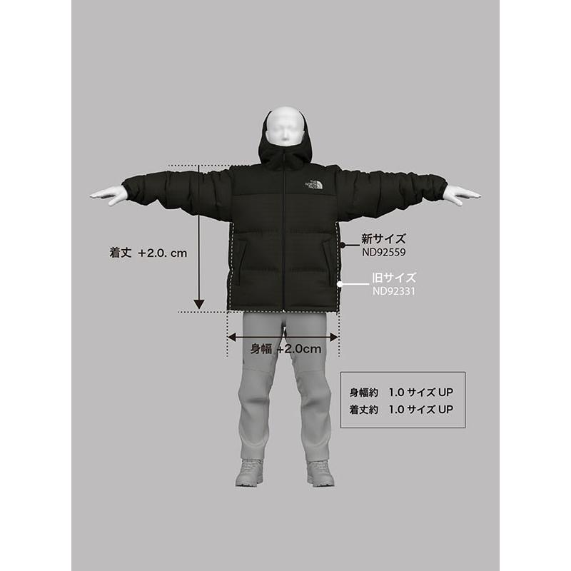 THE NORTH FACE（ザ ノースフェイス） ノースフェイス 高品質 ダウン 