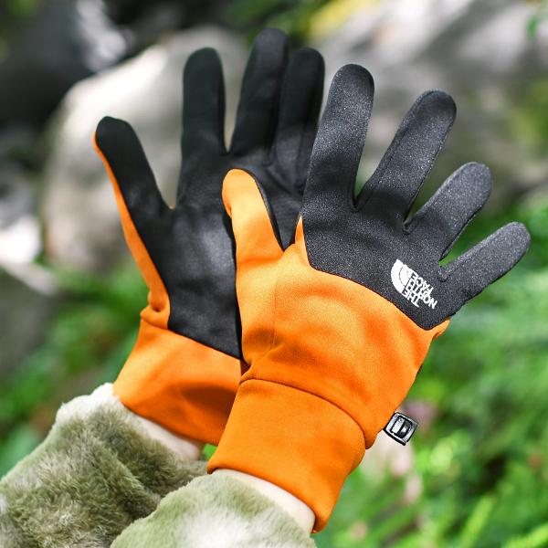 THE NORTH FACE タッチスクリーン手袋 Lサイズ THE NORTH FACE｜タッチスクリーン対応 デナリイーチップ グローブ