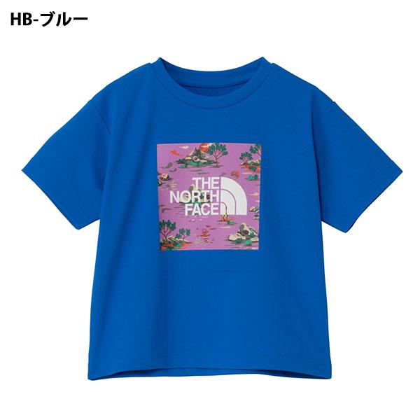 THE NORTH FACE（ザ ノースフェイス） ネコポス発送！送料無料 水陸