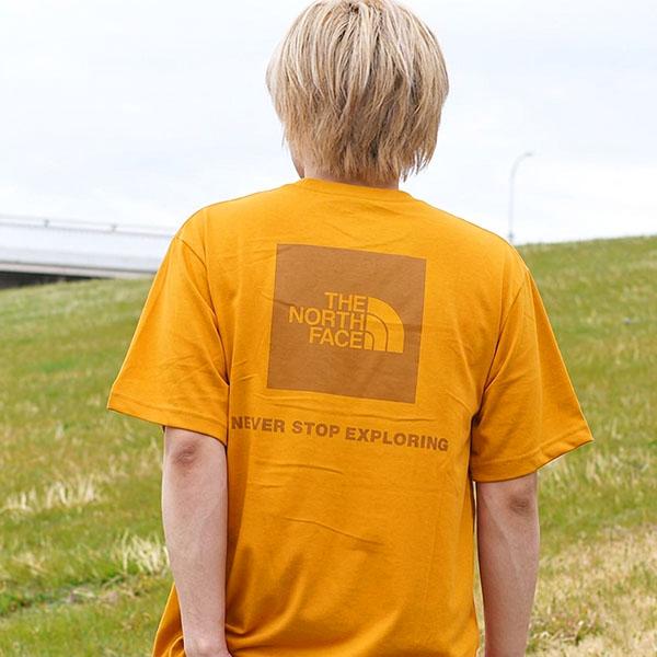 THE NORTH FACE（ザ ノースフェイス） 2026春夏新色 【動画あり