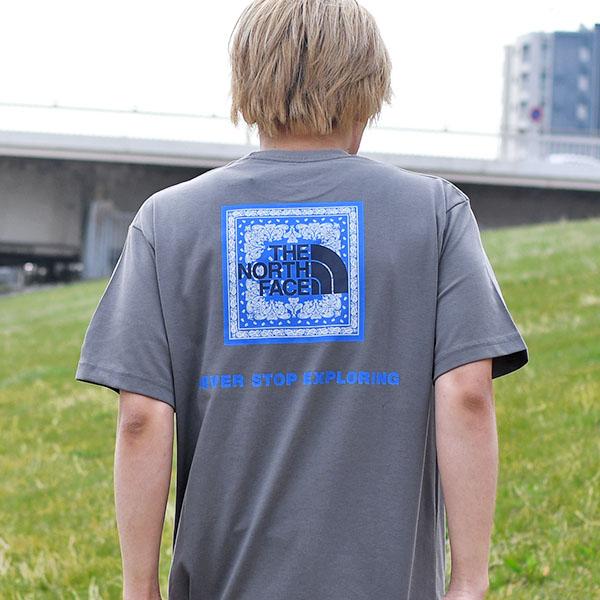 THE NORTH FACE（ザ ノースフェイス） 2026春夏新色 ノースフェイス