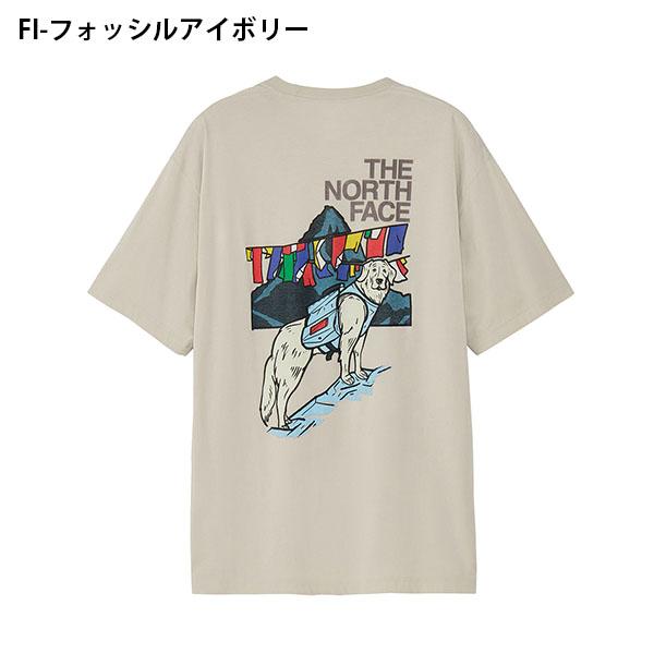 THE NORTH FACE（ザ ノースフェイス） ネコポス発送！ 2026春夏新作