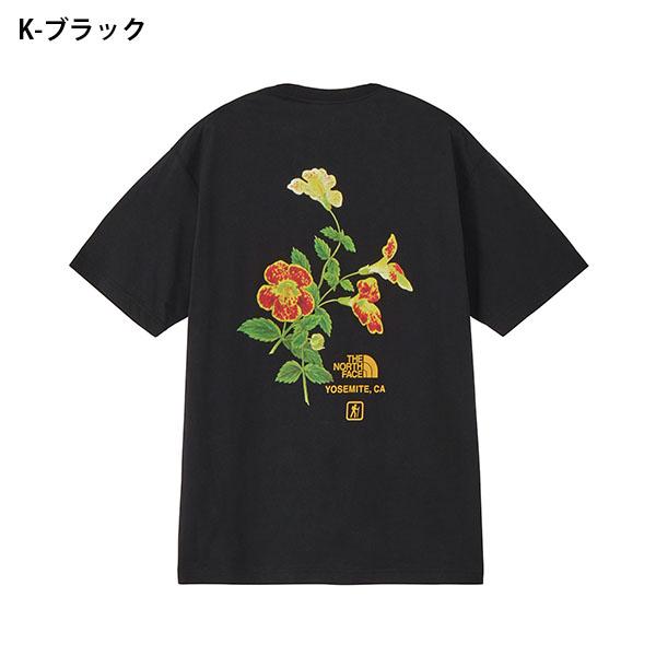 【未使用】THE NORTH FACE×HYKE ボレロ★Tシャツおまけ★ THE NORTH FACE（ザ ノースフェイス） ネコポス発送！ 2026春夏新作