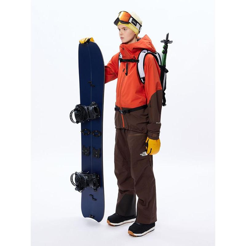 ノースフェイス レディース GORE-TEX スノーボード ウェア スキー THE 