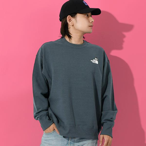 海外限定◆THE NORTH FACE 刺繍ロゴスウェット 日本XL相当 THE NORTH FACE（ザ ノースフェイス） トレーナー スウェット 国内未