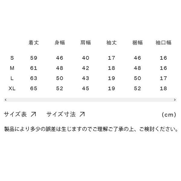 ネコポス発送！送料無料 2026春夏新色 ノースフェイス バンダナ柄 半袖Tシャツ レディース 吸汗速乾 THE NORTH FACE スクエア ロゴ NTW32446の画像