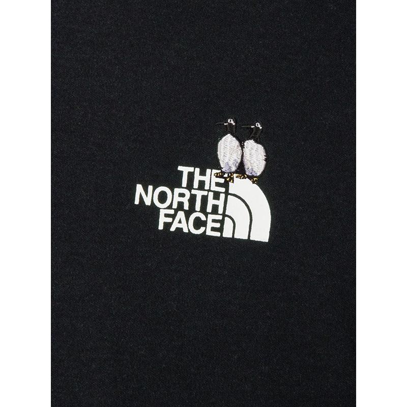 THE NORTH FACE（ザ ノースフェイス） ネコポス発送！ 2026春夏新作 空