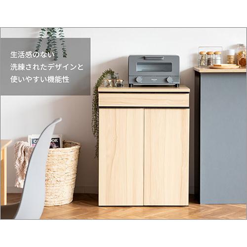 NotT (ノット) 分別ドロワーダストボックス 45L×2 ホワイト DB