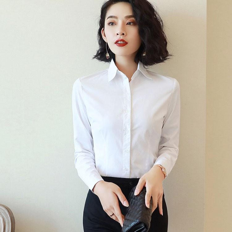 送料無料 2タイプ３カラー ワイシャツ 長袖シャツ レディース ブラウス ビジネス Yシャツ 長袖 オフィス Ol 就活 フォーマル 無地 スキッパ Caaa0408 Elevenoneヤフー店 通販 Yahoo ショッピング