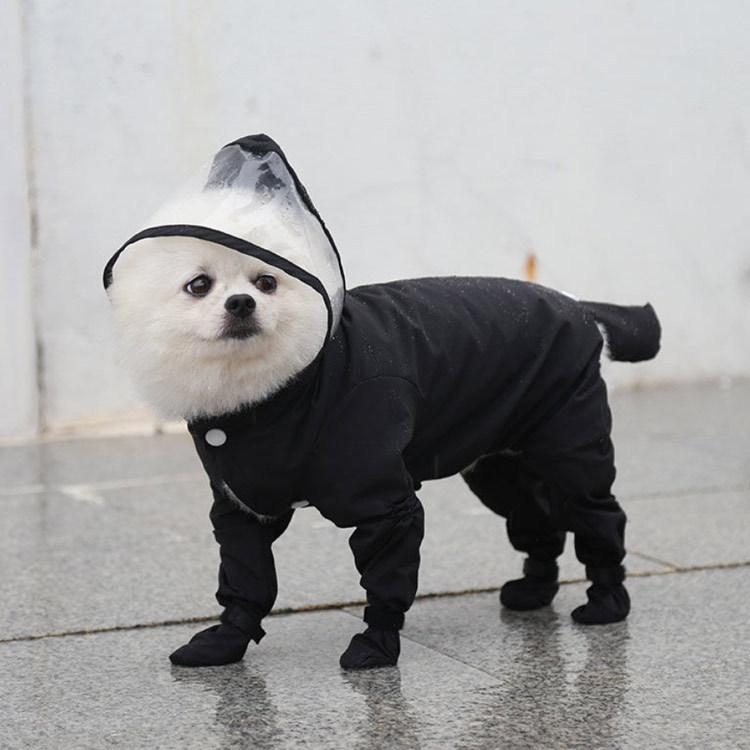 ジャケット　ホワイト　新品 楽天市場】kawasaki ジャケット（カラーホワイト）（バイク