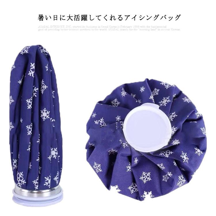 送料無料】氷のう 氷嚢 アイシングバッグ アイスパック 氷入れ 水入れ 