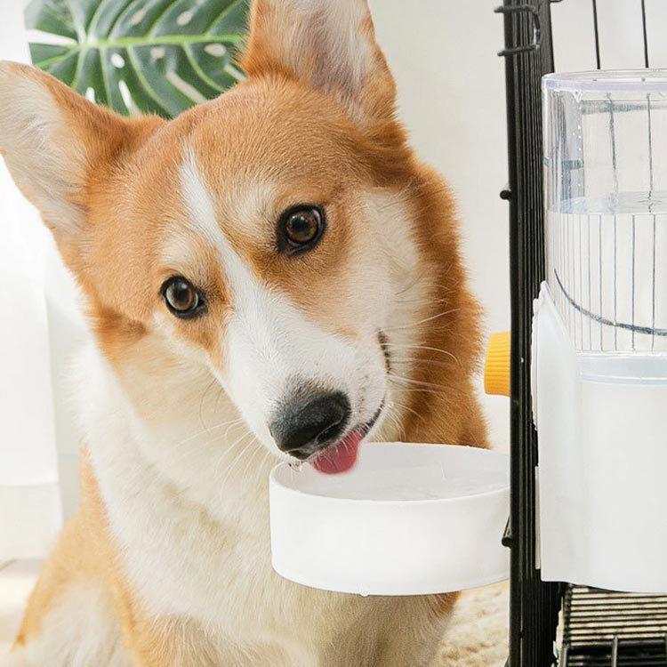 ふるさと割 猫用 餌入れ 小動物用 ケージ用 留守番対 自動給水器 吊り下げ 大容量 食器セット ペット食器 自動給餌器 高さ調整 ペットボウル ペット用品 犬用 食器 餌やり 水やり用品