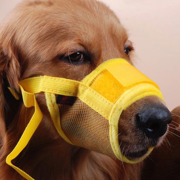 犬用 マズル 防止口輪 小型犬 中型犬 大型犬 噛み防止 拾い食い 無駄吠え 噛み癖防止ペット用マズル 噛みつき 傷舐め防止 ペット用マスク 送料無料 Qxz63 Elevenoneヤフー店 通販 Yahoo ショッピング