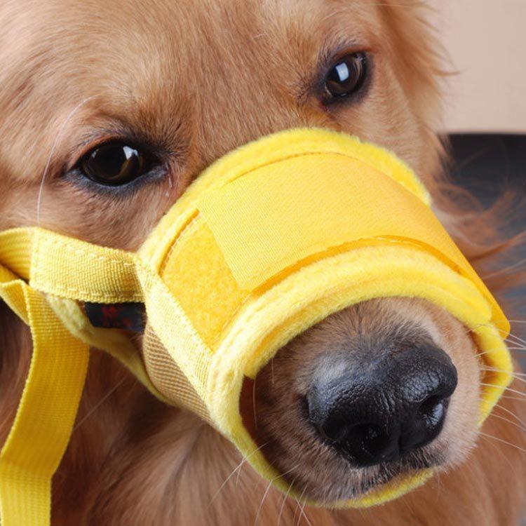 犬用 マズル 防止口輪 小型犬 中型犬 大型犬 噛み防止 拾い食い 無駄吠え 噛み癖防止ペット用マズル 噛みつき 傷舐め防止 ペット用マスク 送料無料 Qxz63 Elevenoneヤフー店 通販 Yahoo ショッピング