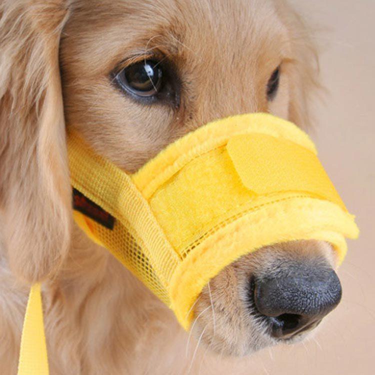 犬用 マズル 防止口輪 小型犬 中型犬 大型犬 噛み防止 拾い食い 無駄吠え 噛み癖防止ペット用マズル 噛みつき 傷舐め防止 ペット用マスク 送料無料 Qxz63 Elevenoneヤフー店 通販 Yahoo ショッピング