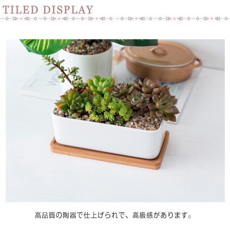植木鉢 トレイ付き 陶器鉢 プランター 北欧風 長方形 卓上 穴付き