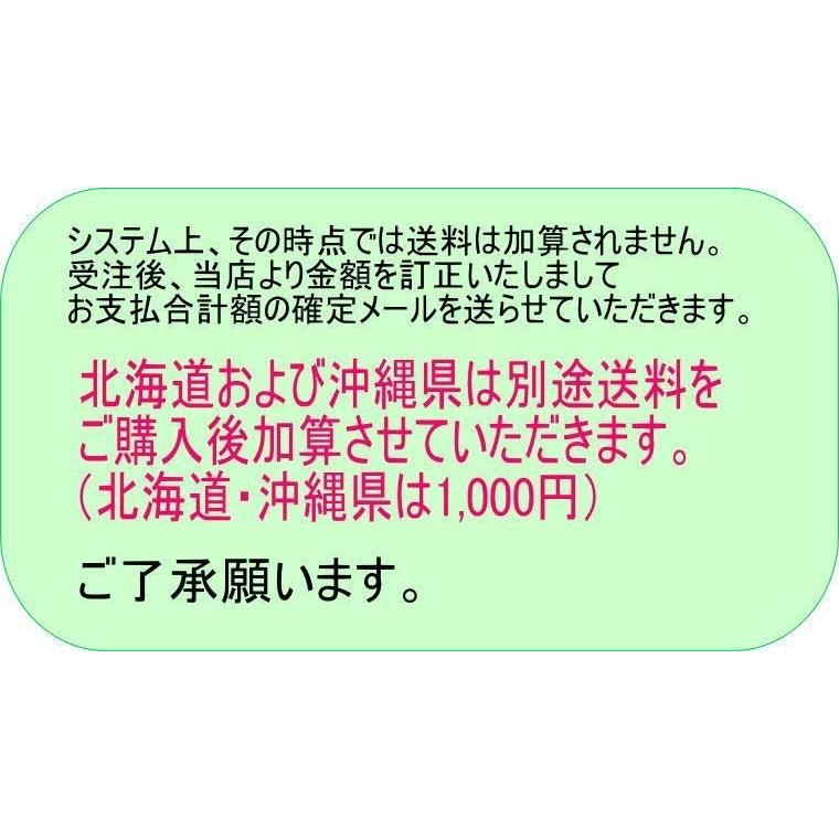 バックパック 05252 ATHLETA アスレタ 送料無料 即日発送対応|elevensportsplanning|03