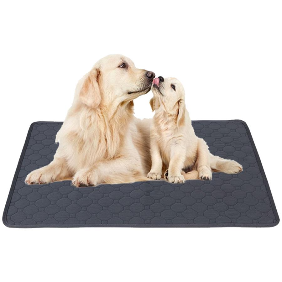 おしっこ先生7 ゴールデンチューブ ブックライブ