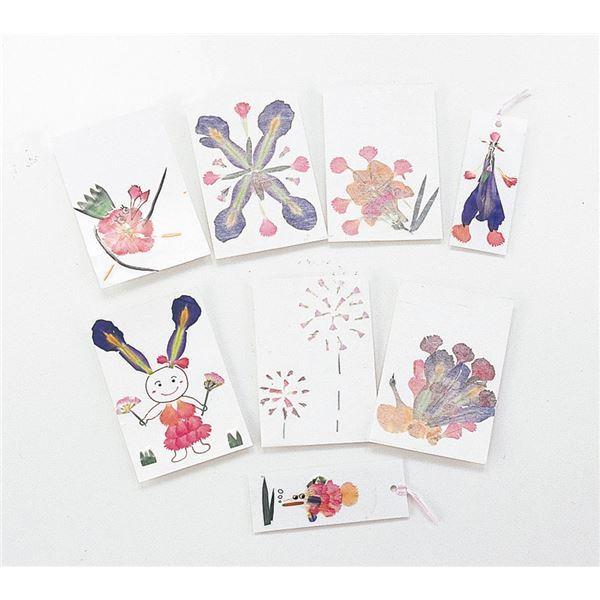 大人気商品 大口歓迎 まとめ アーテック 30セット 押し花セット その他楽器 手芸 コレクション Kgplast Com