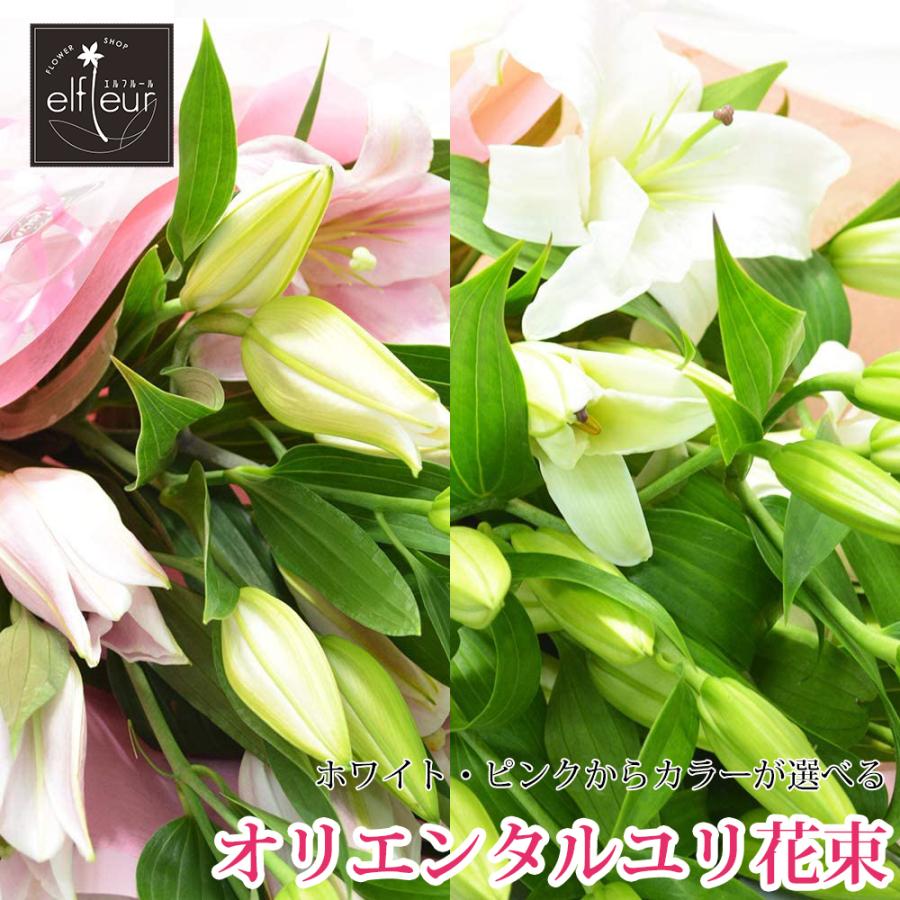 クール便配送 カラーが選べる オリエンタルユリの花束 5本 輪以上 花 誕生日 還暦 退職 結婚 プレゼント 贈り物 母の日 結婚祝い B00fnrcux0 フラワーショップエルフルール 通販 Yahoo ショッピング