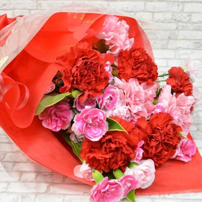 レッド&ピンクミックスカーネーション 花束 贈り物 プレゼント 花 誕生