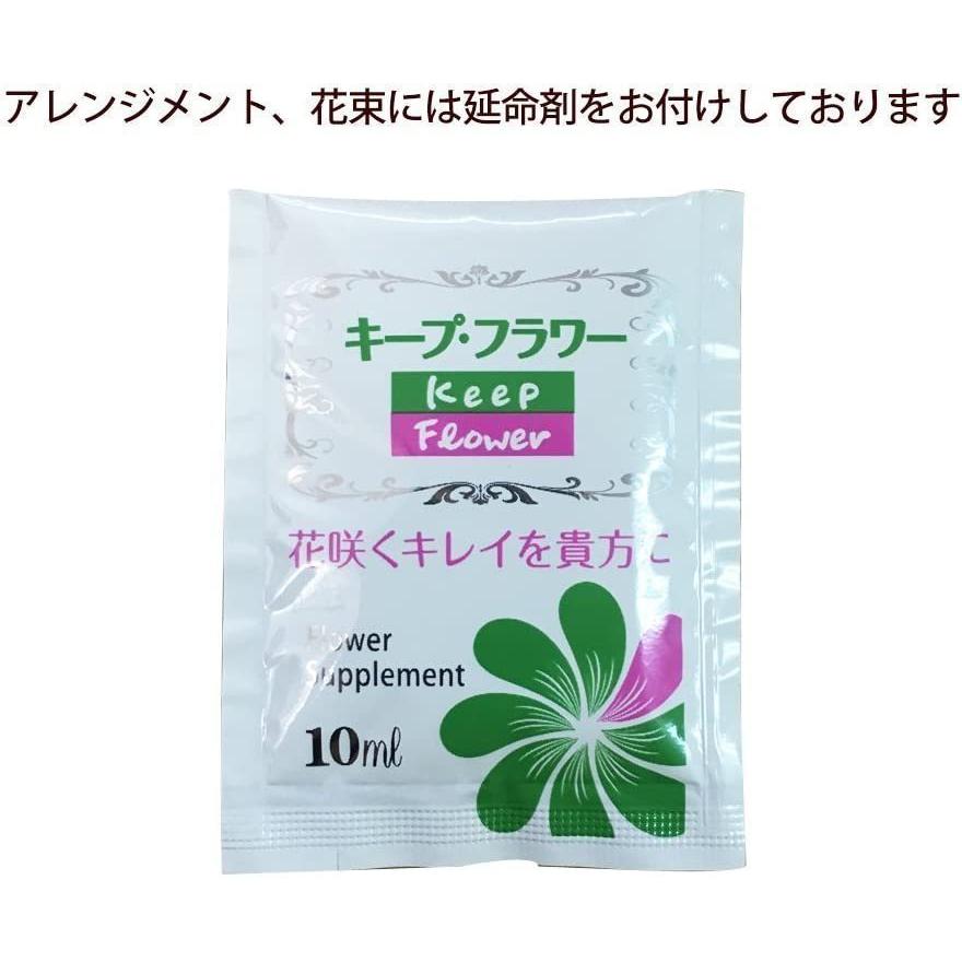 生花 お正月限定 アレンジアナスタシア アレンジメント フラワーギフト 花ギフト 年賀 贈り物 B077nm4kt4 フラワーショップエルフルール 通販 Yahoo ショッピング