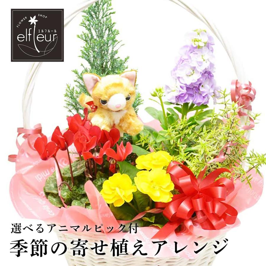 季節の寄せアレンジ ハイクオリティ 選べるアニマルピック付 プレゼント ギフト ガーデニング 寄植え 引越し祝い 誕生日 鉢花