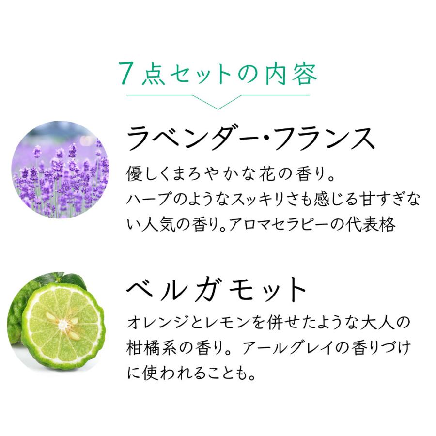 20％OFF【定番＆オススメ7点セット】天然成分100% リュクス100