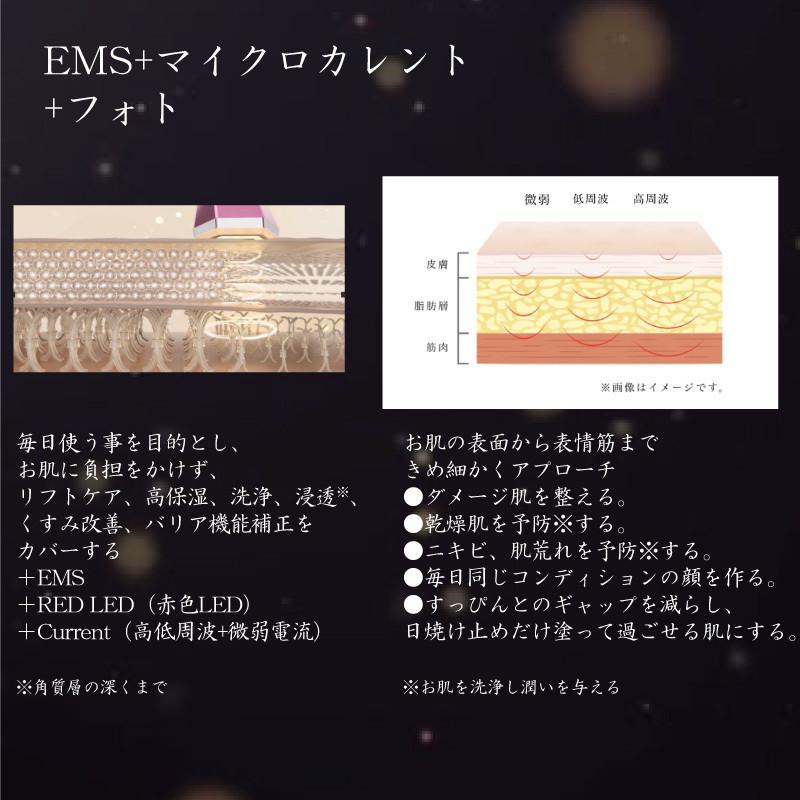 美顔器 アイスレディ フェイス インベストメント icelady face 美顔器 アイスレディ フェイス インベストメント icelady face