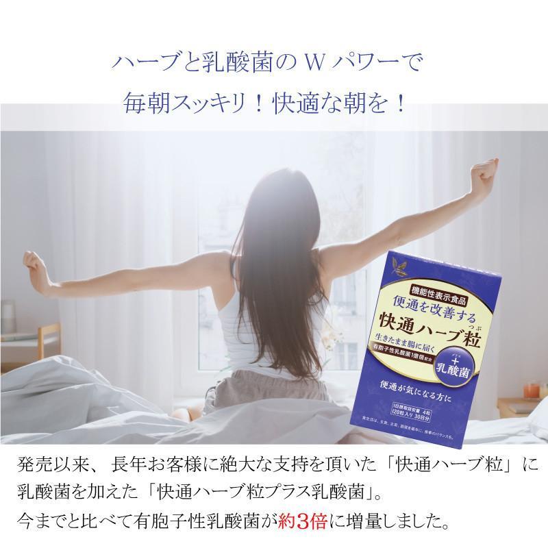 快通ハーブ粒 小袋（4粒） 90袋 （3箱分） ナチュラルウェーブ 【ハーブ×乳酸菌でおなかスッキリ習慣】機能性表示