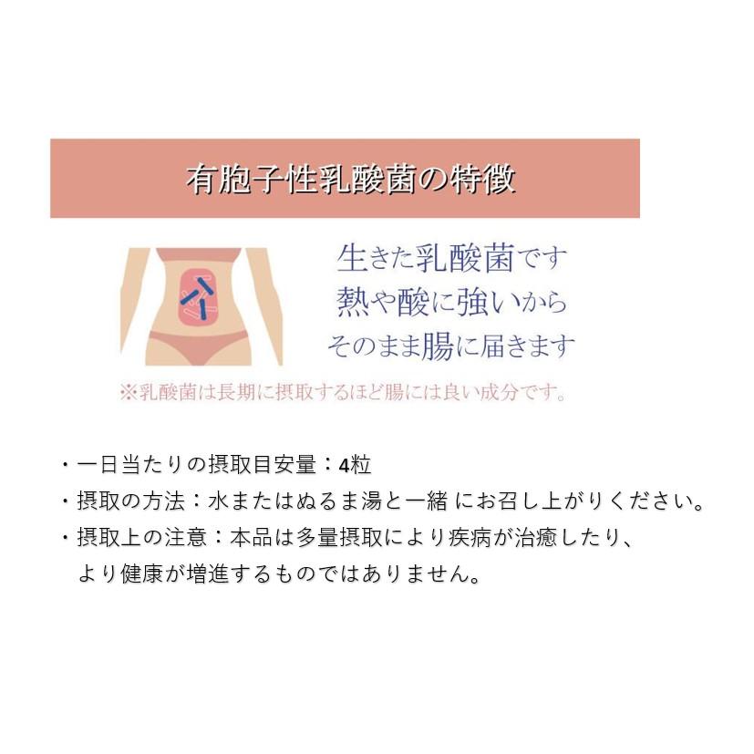 快通ハーブ粒＋乳酸菌 120粒入 1日4粒 30日分 便通 腸活 お通じ 便秘