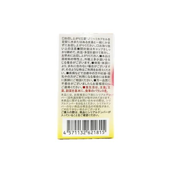 BE-MAX the SUN ビーマックス ザ サン 30粒 カプセル 1日2粒 BE-MAX the SUN ビーマックス ザ サン 30粒 カプセル 1日2粒