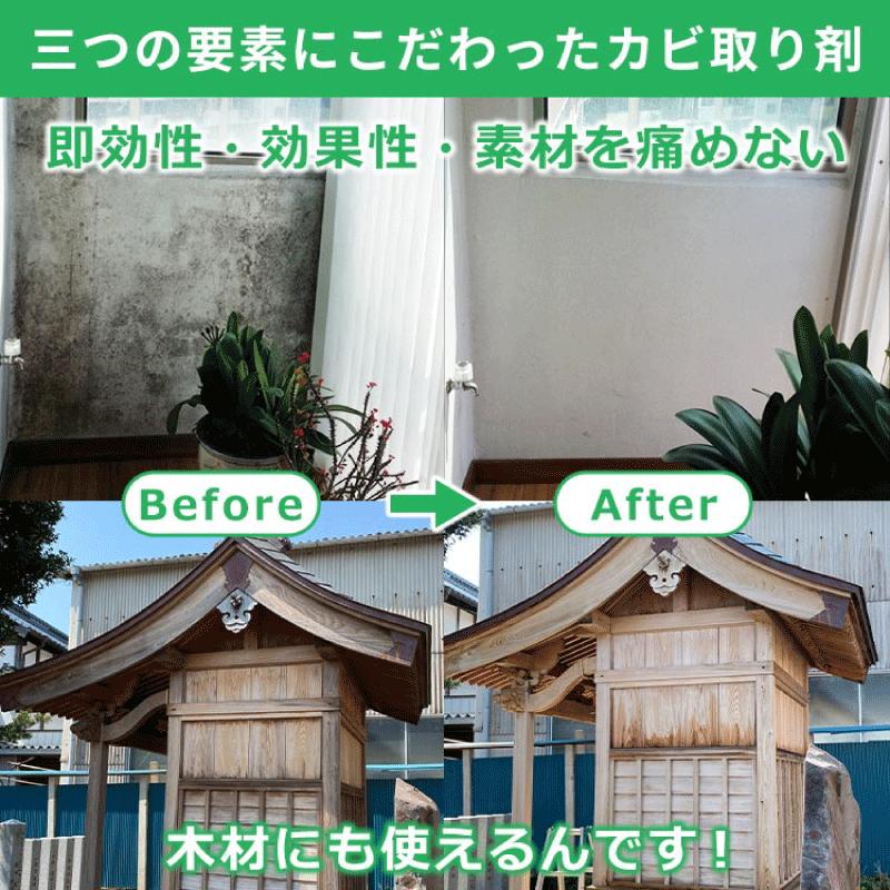 ワケアリ ポイントアップ！期限2026.03.06 強力 カビ取り剤 モールド