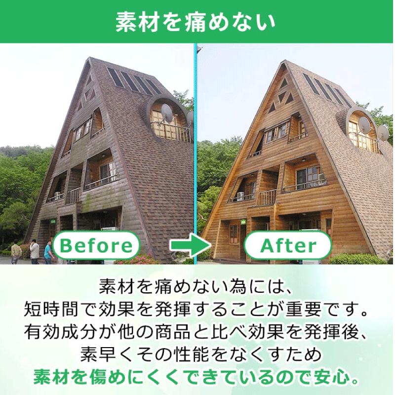 ワケアリ ポイントアップ！期限2026.03.06 強力 カビ取り剤 モールド
