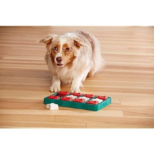 ニーナ オットソン 犬用おもちゃ トリーツ ゲーム ブリック トリーツトイ 犬用知育玩具 Ptot Ab 3 日本小売業販売 通販 Yahoo ショッピング