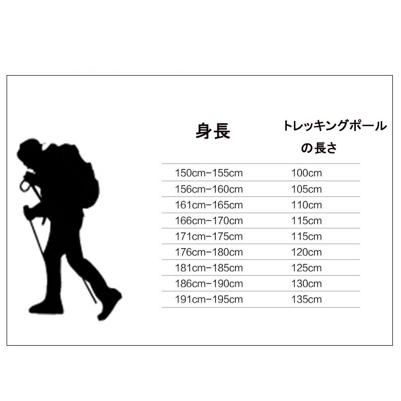 トレッキングポール 登山ストック 五段式伸縮シャフト 折りたたみ式 長さ調整可能 登山杖 ステッキ ストック 超軽量 登山用品 男女 収納ケース付き Bsw002 エリートスリーショップ 通販 Yahoo ショッピング