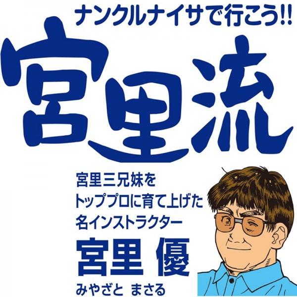 DAIYA（ダイヤ） ゴルフ 練習器具 宮里流 ラケットスイング : ELIX