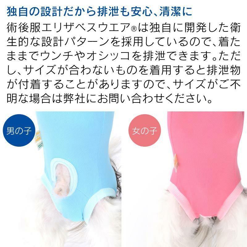 【送料込】術後服エリザベスウエアR 犬用 女の子 雌 ダックス 小型犬用 避妊 去勢 乳腺腫瘍 ウェア エリザベスカラーの代わりに 獣医師推奨 メス｜elizabethwear｜07