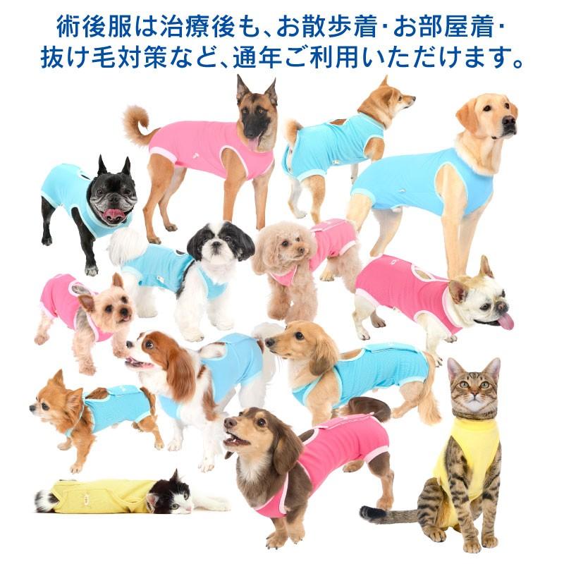 送料込 エリザベスカラーの代わりになる 獣医師推奨 犬用パイルボーダー術後服エリザベスウエアr 女の子 雌 ダックス 小型犬用 ネコポス値2 避妊 ウェア 14 1 犬猫術後服エリザベスウエア専門店 通販 Yahoo ショッピング